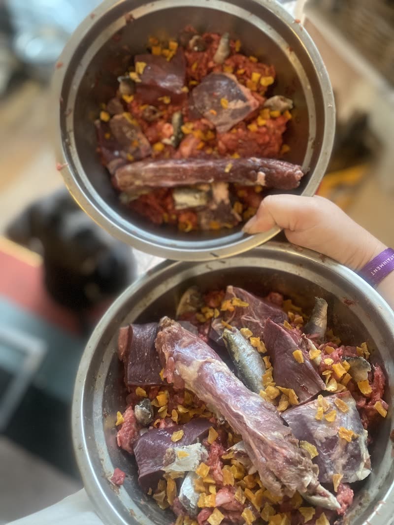 Two bowls of raw meat with ribs and veg topper held up, a dark dog behind