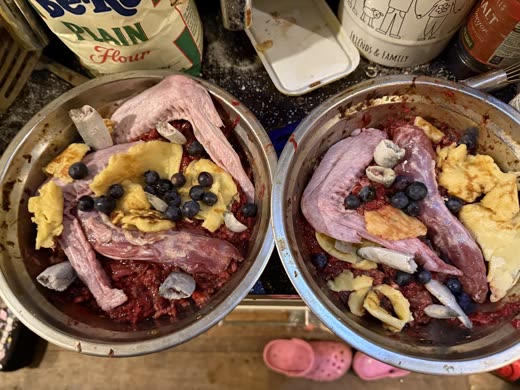 Bowls of raw chicken wings, scrambled egg, blueberries and mince from above