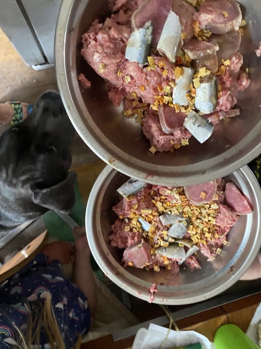 Metal bowls of raw mince, tripe and chopped veg toppers on a kitchen counter